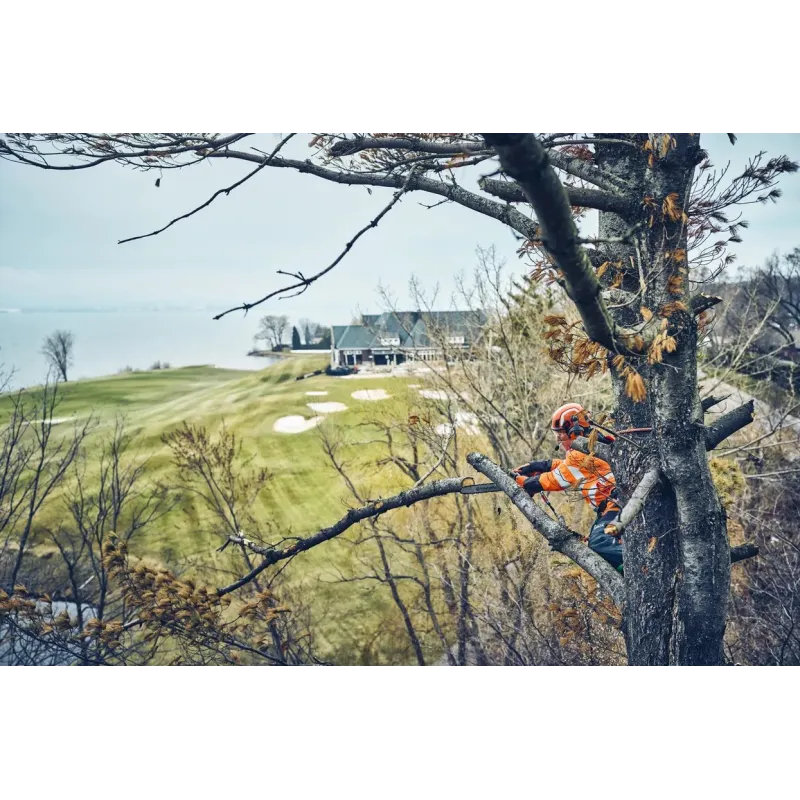 T542i XP X-precision