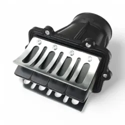 Intake socket with reed valve