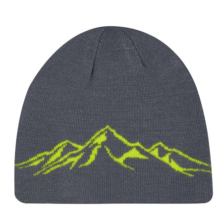 Reversible skidoo beanie os gn