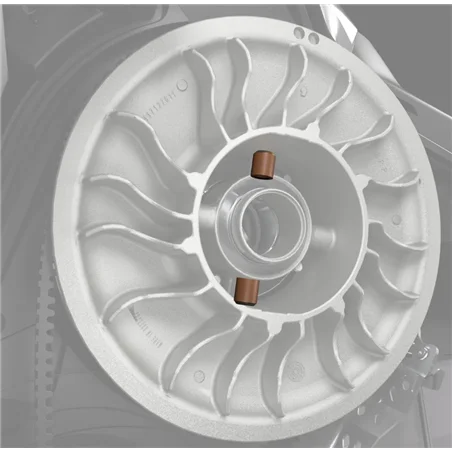 QRS XD Roller Kit -Förstärkta variatorrullar från BRP QRS XD Roller Kit -Förstärkta variatorrullar från BRP