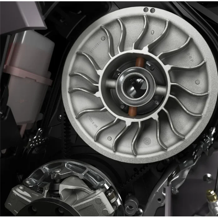 QRS XD Roller Kit -Förstärkta variatorrullar från BRP QRS XD Roller Kit -Förstärkta variatorrullar från BRP