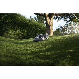 AM320 NERA